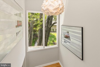 Creating a rare live/work/play opportunity in Carroll County - photo 37