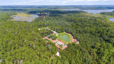 (private lake, pond, creek) Home For Sale in Silver Springs Florida