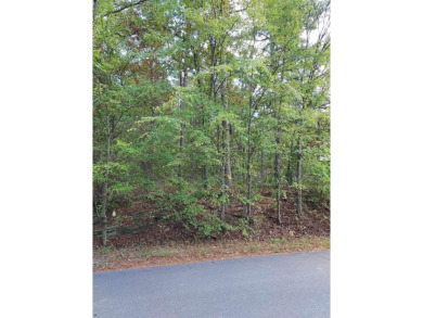 Lake Coronado Lot For Sale in Hot Springs Village Arkansas