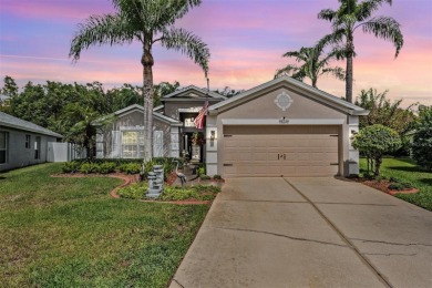 Lake Home For Sale in Land O Lakes, Florida