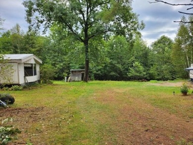 (private lake, pond, creek) Acreage For Sale in Palmyra Maine