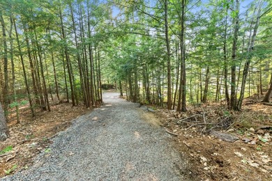Experience life at the lake with this exquisite custom-built - photo 11