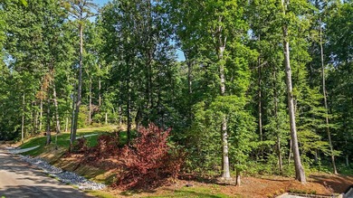 Discover the perfect place to build your dream home in the - photo 11