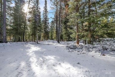 We are calling this unique property a SHOME. It is a 30 x40 shop - photo 46