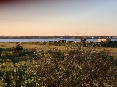 With unobstructed water views over +/-4.2 acres, this - photo 3