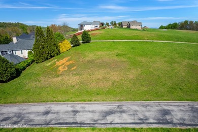 Lakeview Homesite in Rarity Bay! Enjoy serene sunsets from your - photo 8