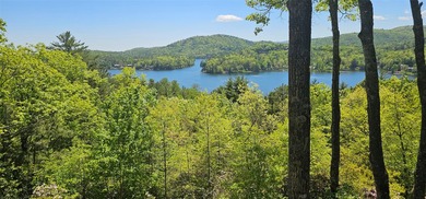 NEW LISTING! Voluminous views and privacy from this LIKE NEW - photo 13