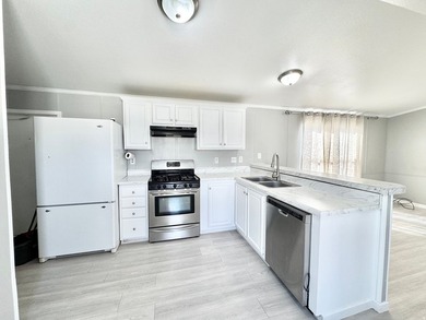 Move-in ready mobile home featuring 3 bedrooms and 2 bathrooms - photo 3