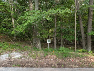 Lake Lot For Sale in Mears, Michigan