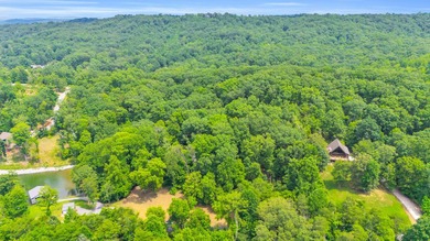Rare opportunity to own TWO waterfront lots on beautiful Watts - photo 11