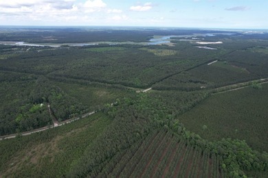 17.80 acres located on Pennyroyal Road in Georgetown offering - photo 12