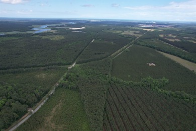 17.80 acres located on Pennyroyal Road in Georgetown offering - photo 13