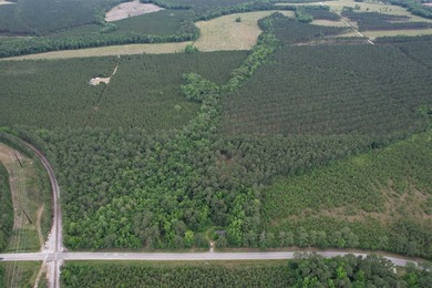 17.80 acres located on Pennyroyal Road in Georgetown offering - photo 14