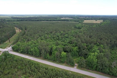 17.80 acres located on Pennyroyal Road in Georgetown offering - photo 15