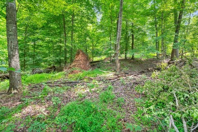 Rare opportunity to own TWO waterfront lots on beautiful Watts - photo 17