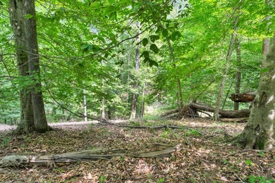 Rare opportunity to own TWO waterfront lots on beautiful Watts - photo 18