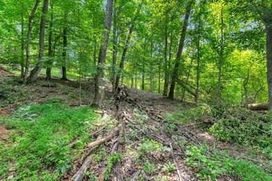 Rare opportunity to own TWO waterfront lots on beautiful Watts - photo 19