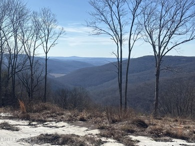 Gorgeous Bluff and Mountain views! Caves, wildlife, seasonal - photo 2
