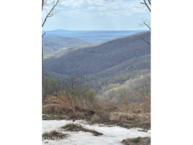 Gorgeous Bluff and Mountain views! Caves, wildlife, seasonal - photo 3