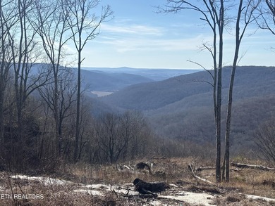 Gorgeous Bluff and Mountain views! Caves, wildlife, seasonal - photo 6