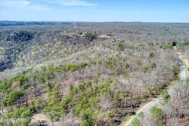 Gorgeous Bluff and Mountain views! Caves, wildlife, seasonal - photo 9