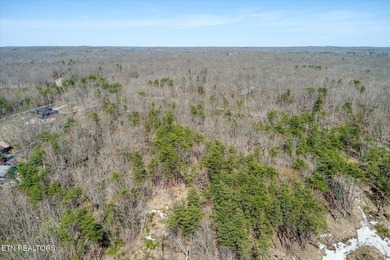 Gorgeous Bluff and Mountain views! Caves, wildlife, seasonal - photo 10