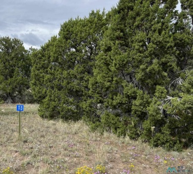 Lake Lot For Sale in Quemado, New Mexico