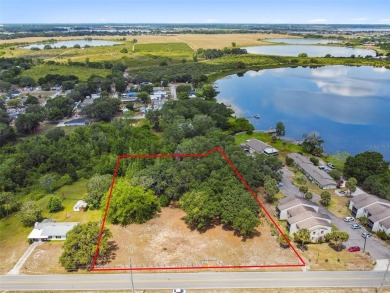 Lake Acreage For Sale in Lake Alfred, Florida