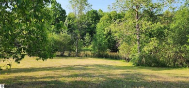 Lake Acreage For Sale in Lake City, Michigan
