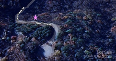 Lake Lure Acreage For Sale in Lake Lure North Carolina