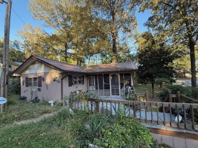 Kentucky Lake Home For Sale in Springville Tennessee