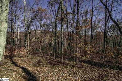 Lake Lot For Sale in Travelers Rest, South Carolina