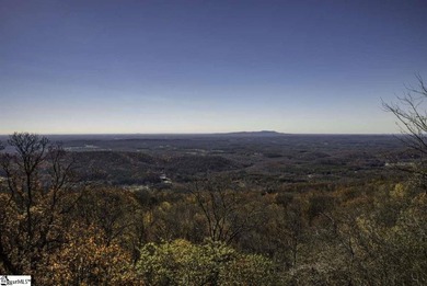Located within the gated community of The Cliffs Valley and - photo 2