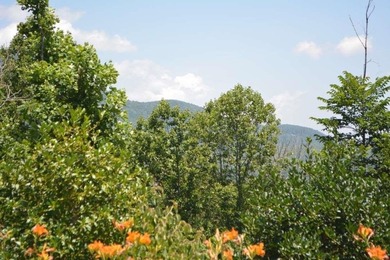 Located within the gated community of The Cliffs Valley and - photo 3