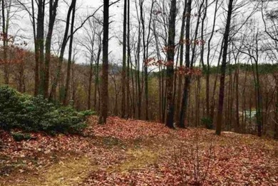 Lake Lot For Sale in Travelers Rest, South Carolina
