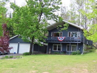 Lake Home For Sale in Atlanta, Michigan