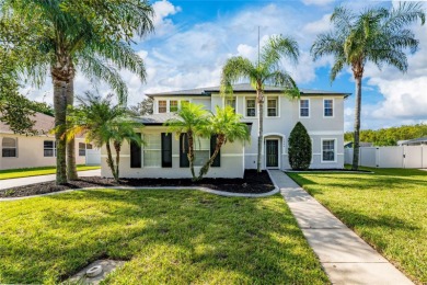 (private lake, pond, creek) Home For Sale in ST Cloud Florida