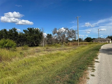 Lake Brownwood Lot For Sale in Brownwood Texas