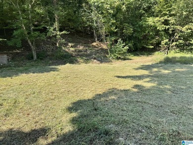 Highland Lake Lot For Sale in Oneonta Alabama