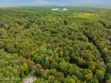 Lake Lot For Sale in Pocono Lake, Pennsylvania
