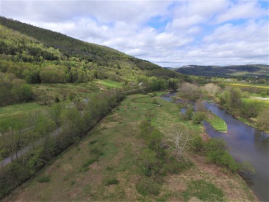 West Branch Delaware River Acreage For Sale in Walton New York