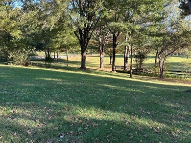 MAKE THIS YOUR HOME, THREE BEDROOM TWO BATHS ON 3.6 BEAUTIFUL - photo 4