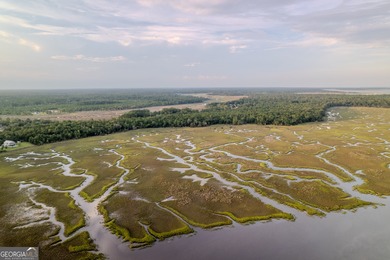 (private lake, pond, coastal) Acreage For Sale in Woodbine Georgia