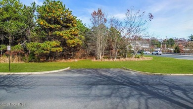 PRIME COMMERCIAL CORNER - ROUTE 37 & ST. CATHERINE BLVD RARE 1 - photo 3