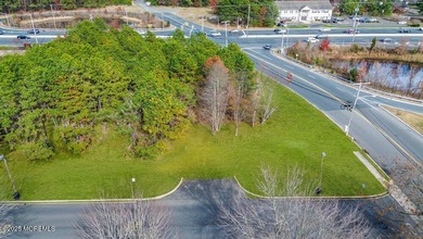 PRIME COMMERCIAL CORNER - ROUTE 37 & ST. CATHERINE BLVD RARE 1 - photo 4