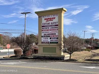 PRIME COMMERCIAL CORNER - ROUTE 37 & ST. CATHERINE BLVD RARE 1 - photo 5