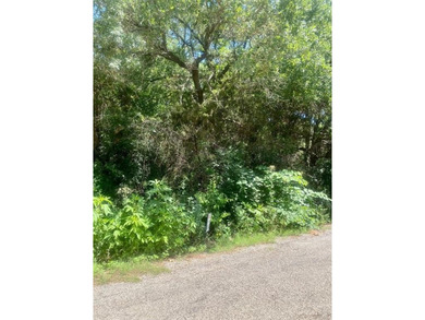 Lake Granbury Lot For Sale in Granbury Texas