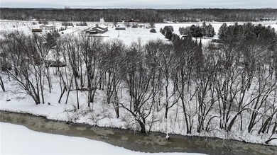 (private lake, pond, creek) Acreage For Sale in Motley Minnesota