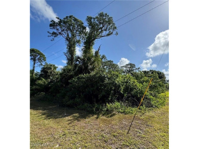 Lehigh Acres Area Lot For Sale in Lehigh Acres Florida
