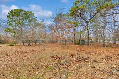 Located in the Rampasture Point section of Hampton Bays, this - photo 24